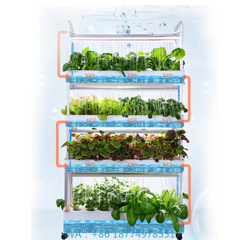 ydroponic plantsysteem Smart H - Home Automation System Diy recensie en prijs